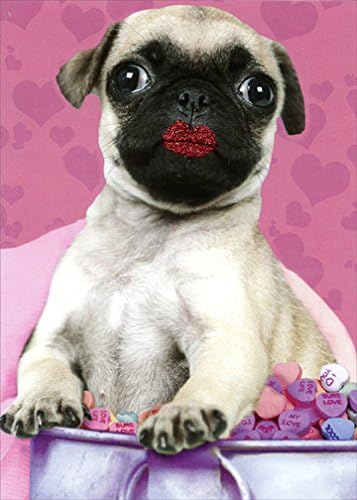Amazon パグwearing Lipstick面白い犬のバレンタインデーカード 紙製品 文房具 オフィス用品