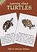 Learning About Turtles (Dover Little Activity Books: Animals)