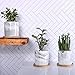 SQOWL 4 inch Marble Ceramic Succulent Planter Pot Indoor Modern Cactus Herb Flower Planters with Bamboo Tray Set of 3