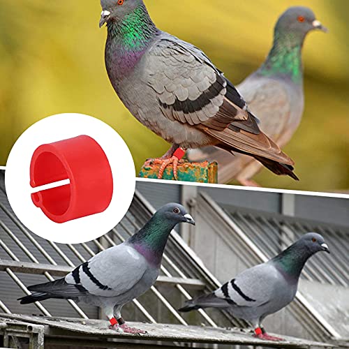 otutun Taubenringe, Klemmringe Beinring 8 mm Taubenfüße Ringe Unterschiedliche Farben Geflügelbeinringe Clipsringe aus… – Bild 4