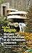 Histoire de l'architecture et de l'urbanisme modernes : Tome 2, Naissance de la cité moderne, 1900- by