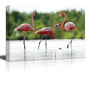 Canvas Prints Wall Art - The Pink Caribbean Flamingo on Water | Modern Home Deoration/Wall Art Giclee Printing Wrapped Canvas Art Ready to Hang - 12" x 18"