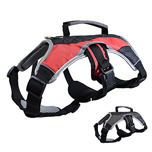 5 Best Dog Lift Harnesses and Slings for MobilityImpaired Canines
