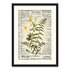 Black Paper Framed Canvas Wall Art for Living Room, Bedroom Animals or Plants Pop Up Vintage Newspaper Backgroud Canvas Prints for Home Decoration Ready to Hanging - 23x31 inches