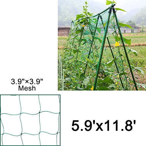 agfabric nailon Vine y Veggie malla de enrejado planta apoyo ...
