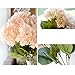 Youngman 5 Heads Hydrangea Beautiful Artificial Flower Bunch Bouquet Home Wedding Decor (Champagne)