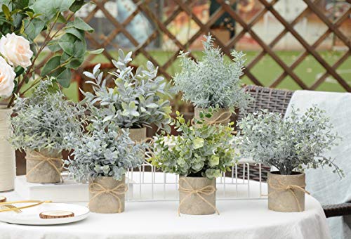 JC nateva Small Fake Plants Mini Potted Artificial Plants Indoor for Home Office Farmhouse Kitchen Bathroom Table Decor - Image 7