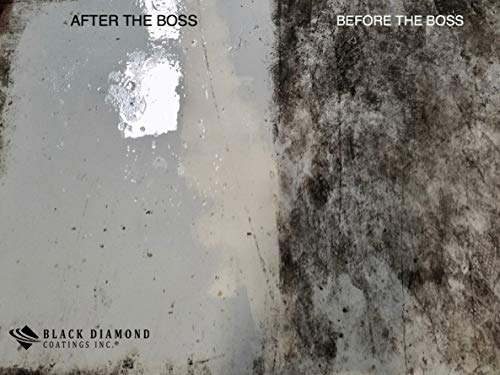 BLACK DIAMOND COATINGS INC. 1 Gallon The Boss Cleaner and Degreaser - Concrete, Masonry, Natural Stone, and Wood Stain Remover