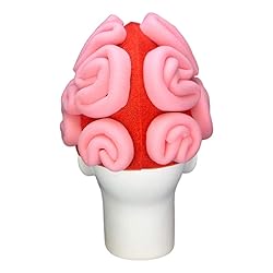 FOAM PARTY HATS: Brain Hat - Anatomy Party Hat