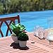 VIFAH Malibu Outdoor Rectangular Dining Table with Curvy Legs