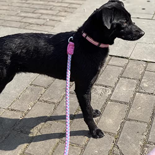 Mycicy 3ft 4ft 6ft 10ft Reflective Dog Leash, Nylon Rope Braided Heavy