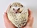 Hedgehog Harness Wing Traction Rope Nylon String Adjustable Training Playing Small Animal Outdoor Play Random Color