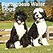Portuguese Water Dogs 2020 12 x 12 Inch Monthly Square Wall Calendar, Animals Dog Breeds by 