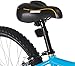 Diamondback Bicycles Lustre 24 Kid's Mountain Bike, 24