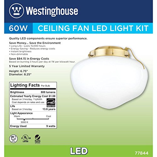 Westinghouse Lighting 7784400 LED Schoolhouse Indoor/Outdoor Energy