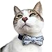Blueberry Pet Gift Box with Pack of 2 Handmade Dog Cat Bow Tie, Go for Fun Designer Bowtie Set, 4