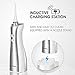 Hangsun Dental Water Flosser Cordless Rechargeable Oral Irrigator Electric Flossers HOC460P with Portable Inductive Charger IPX7 Waterproof Water Jet Teeth Cleaner for Brace Bridge Travel and Home Use