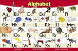 Alphabet Placemat By Brainymats