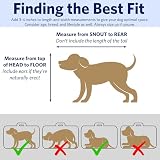 MidWest iCrate 46 cm Single Door Folding Dog Crate with Divider Panel view 3