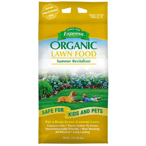 Summer Lawn Fertilizer: Amazon.com