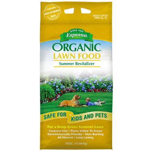 Summer Lawn Fertilizer: Amazon.com