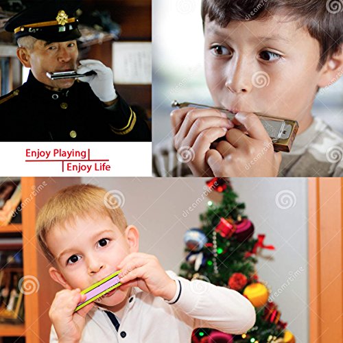 image for Jiuxun Tremolo Harmonica 24 Hole Stainless Steel Harmonica Key of C wi