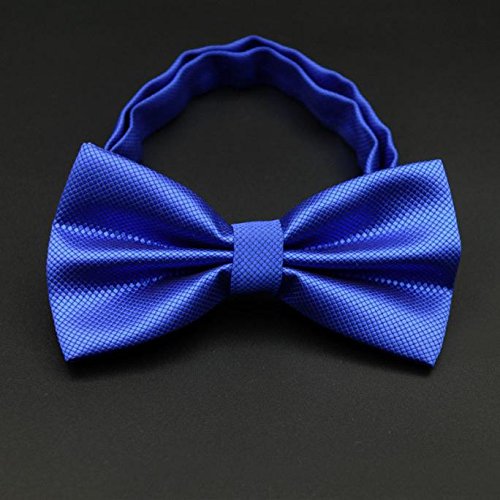 Gifts For Men ! Charberry Mens Bow Tie Butterfly Cravat bowtie Wedding commercial bow ties Cravats Accessories (Blue)