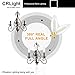 CRLight 5000K 2W LED Candelabra Bulb Daylight White, 25W Equivalent 250LM, E12 Dimmable LED Chandelier Light Bulbs, Antique Style B10 Frosted Glass Candle Torpedo Tip, 6 Pack