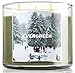 Bath & Body Works Slatkin & Co. Three Wick 14.5 Oz. Scented Filled Candle - Evergreen