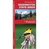 Pacific Northwest Butterflies Amp Moths A Folding Pocket