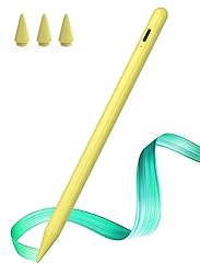 Stylus Pen for iPad with Fast Charging & Palm