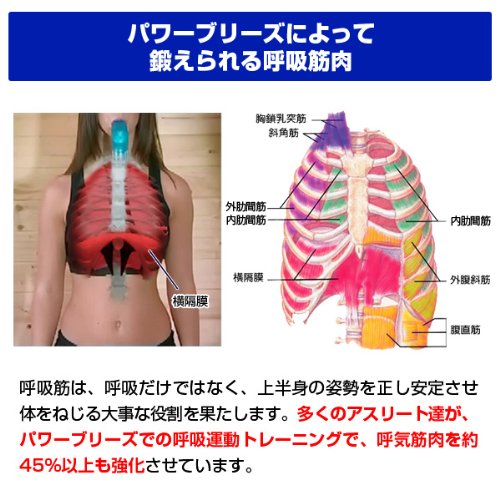 Powerbreathe Fitness Plus (Medium Load)