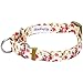 Blueberry Pet Spring Scent Inspired Rose Print Martingale Safety Training Dog Collar, Ivory, Small, Heavy Duty Adjustable Collars for Dogs