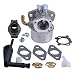 Panari Carburetor Carb + Spacer for Briggs & Stratton 591299 698474 791991 698810 698857 698478 694174 690046 693751 Lawn Mower