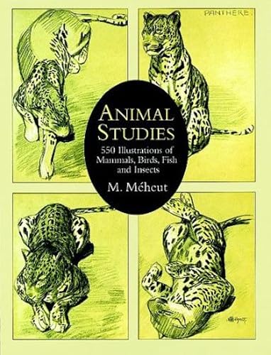 Download Animal Studies: 550 Illustrations of Mammals, Birds, Fish and Insects PDF