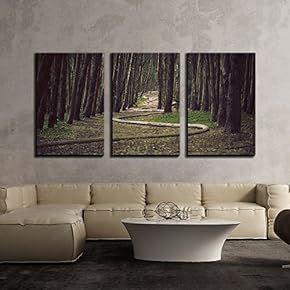 Cypress Forest x3 Panels
