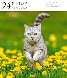 Cat Page-A-Day® Gallery Calendar 2026: A
