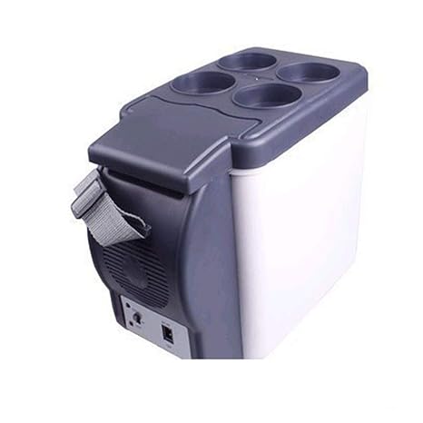 EVERAIE Coche Refrigerador, Refrigerador portátil actualizado del ...