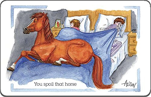 Fridge Magnet: You spoil that horse