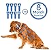 Best Natural Safe Design Flea and Tick Collar For Dogs, 8 Month Protection, Fully Adjustable One Size Fits All - Waterproof