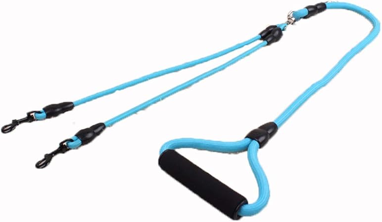 double dog lead retractable