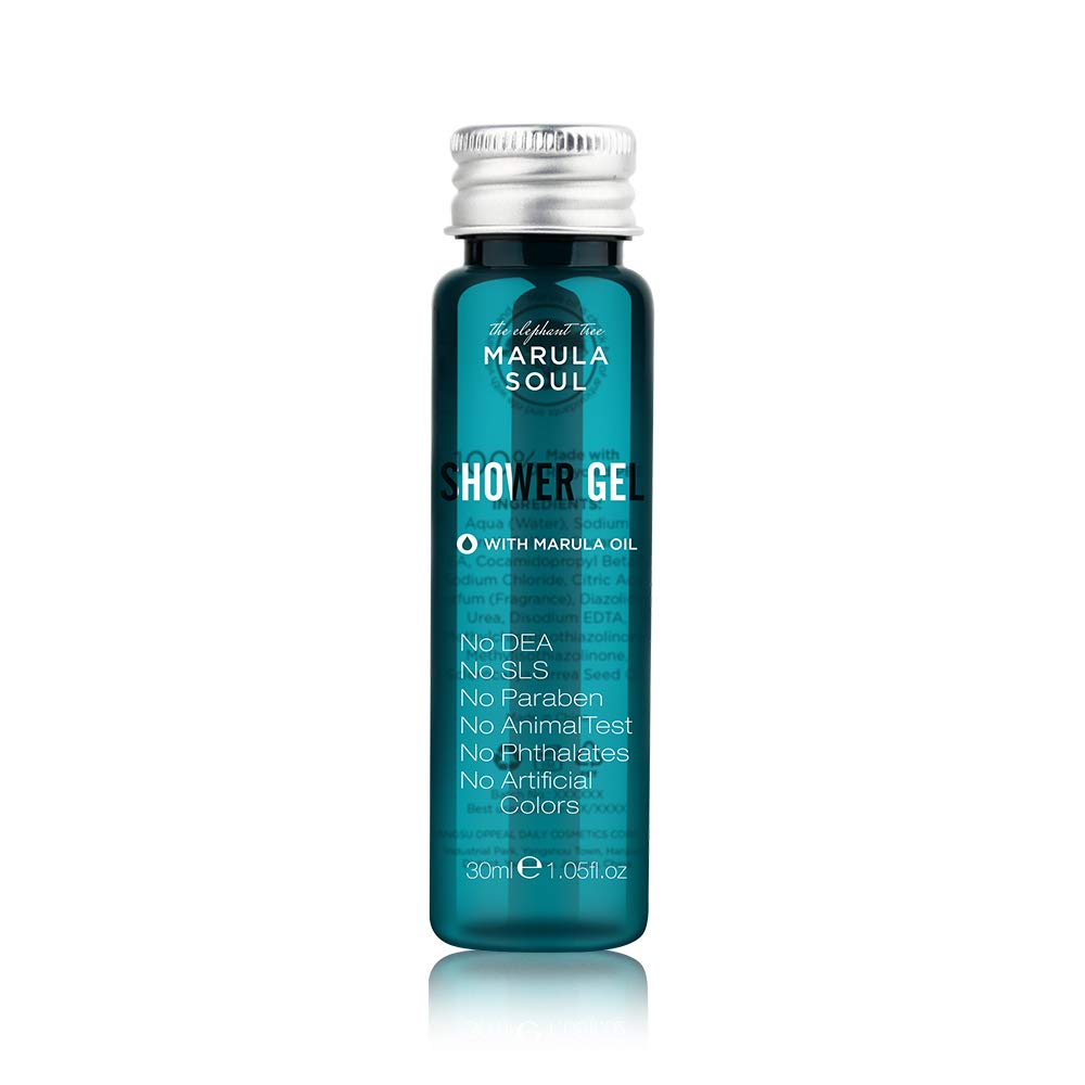 Travel Size Body Wash Bulk