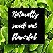 Shangri-La Tea Company Organic Luxury Teabag Collection, 81 Hot Tea Bags, 8 Different Flavors, Custom Leather Gift Box, Assorted 1 Count