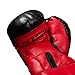 Title Boxing Youth Boxing Gloves