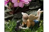 Miniature Fairy Garden Limited Edition Boy Fairy With Dog Ross and Winston, Model: 74, Home/Garden & Outdoor Store