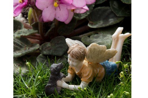 Miniature Fairy Garden Limited Edition Boy Fairy With Dog Ross and Winston, Model: 74, Home/Garden & Outdoor Store