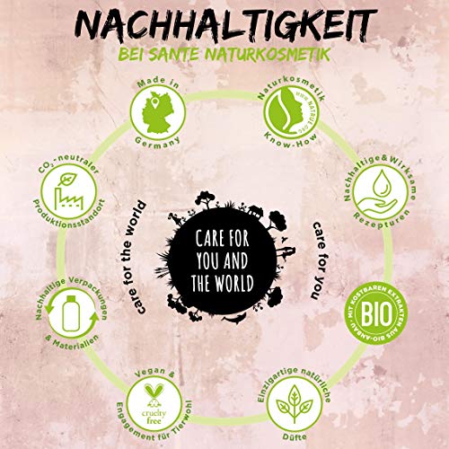 SANTE-Naturkosmetik-3-Min-Glanz-Maske-Bio-Birkenblatt-pflanzliches-Protein-Intensive-Haarkur-Schenkt-Glanz-und-Geschmeidigkeit-Verbesserte-Kmmbarkeit-Vegan-100ml