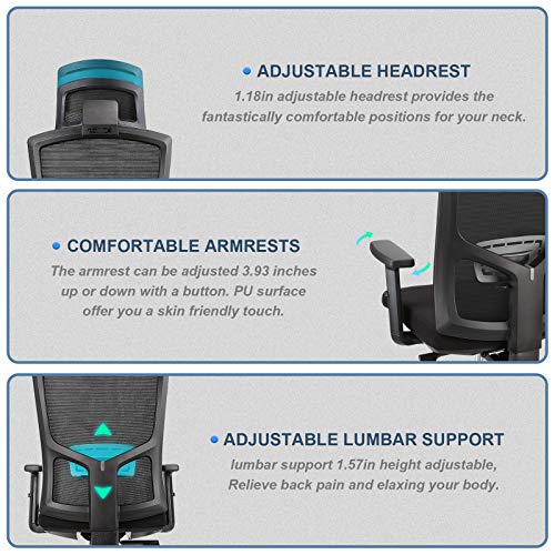 Ergousit Ergonomic Office Chair High Back Desk Chair with Adjustable Lumbar Support &Thick
