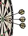 Darts By All In Gear King Cobra Strikes 3 Dart Set 24 Grams Brass Barrels Steel Tips 6 Aluminum Shafts 3 PET Flights For dart board