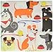 Creative Converting Party Supplies, Dog Party Beverage Napkins, Napkin Beverage, Multicolor, 9 4/5 inches X 9 3/4 inches, 16ct